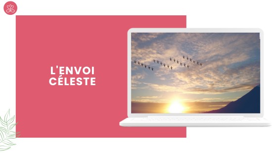 Semaine 31 - L'envoi céleste (21 minutes)